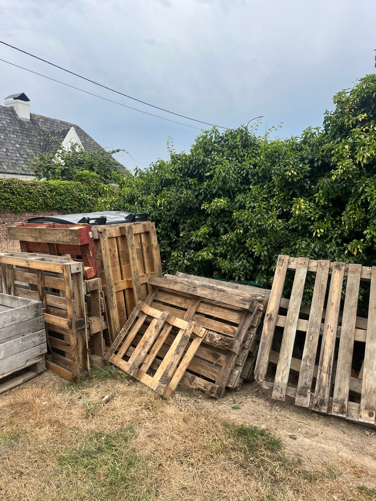 Gratis hout / palletten, Ophalen of Verzenden, Zo goed als nieuw