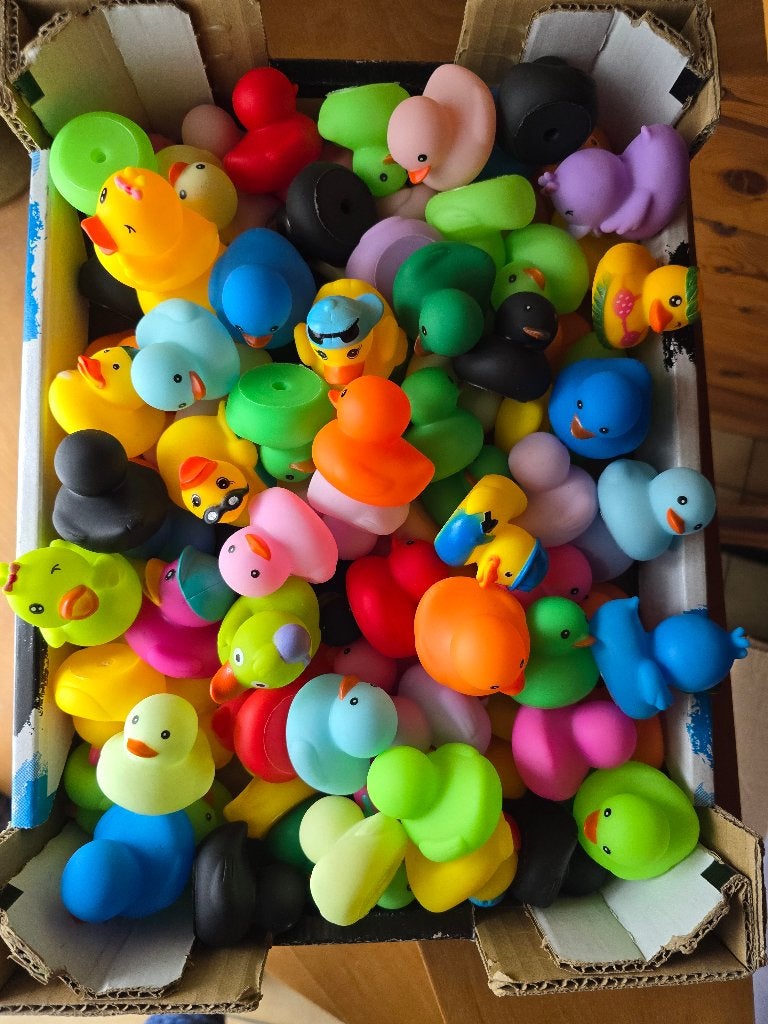 Eendjes, Ophalen of Verzenden, Nieuw