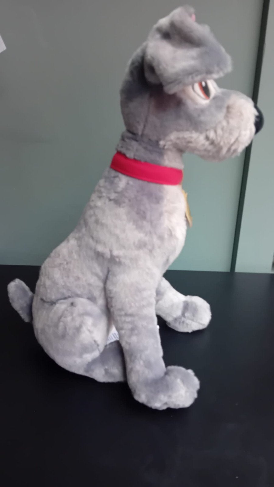 Pluche hond, Enlèvement