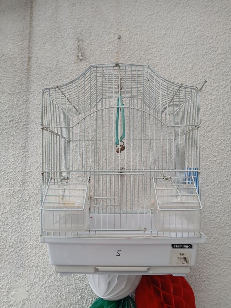 Petite cage de canaris, Ophalen of Verzenden, Zo goed als nieuw, Metaal, Vogelkooi