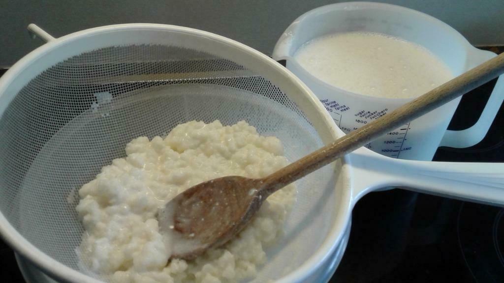 Kefir - Melkkefir - Yoghurtbloemetjes, Ophalen, Nieuw, Overige typen