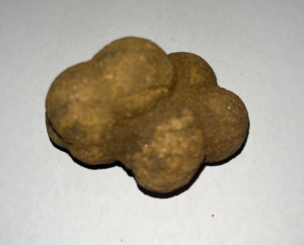 Limoniet concretie - 57gram - 48mm x 35mm x 32mm, Ophalen of Verzenden, Fossiel