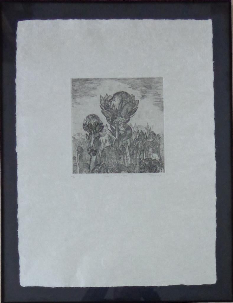 FRANS MINNAERT / GEBOORTE LEVEN / ZW-W ETS / 87x67cm / KADER, Enlèvement