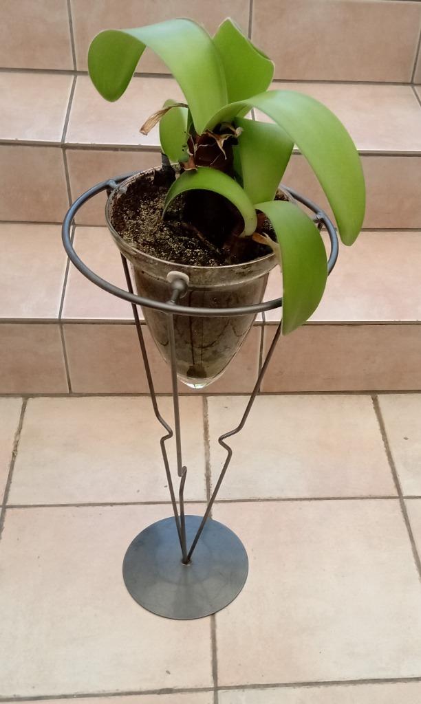 Plantenhouder, Huis en Inrichting, Ophalen
