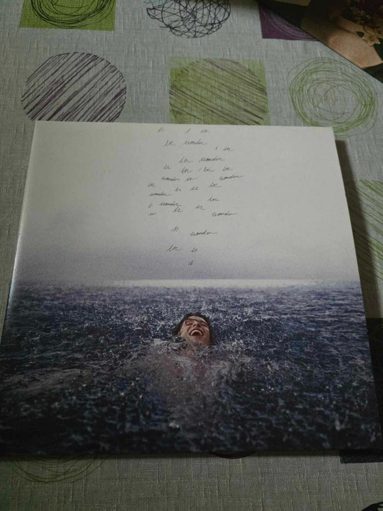 2 lps shawn mendes wonder, Cd's en Dvd's, Ophalen of Verzenden, Zo goed als nieuw
