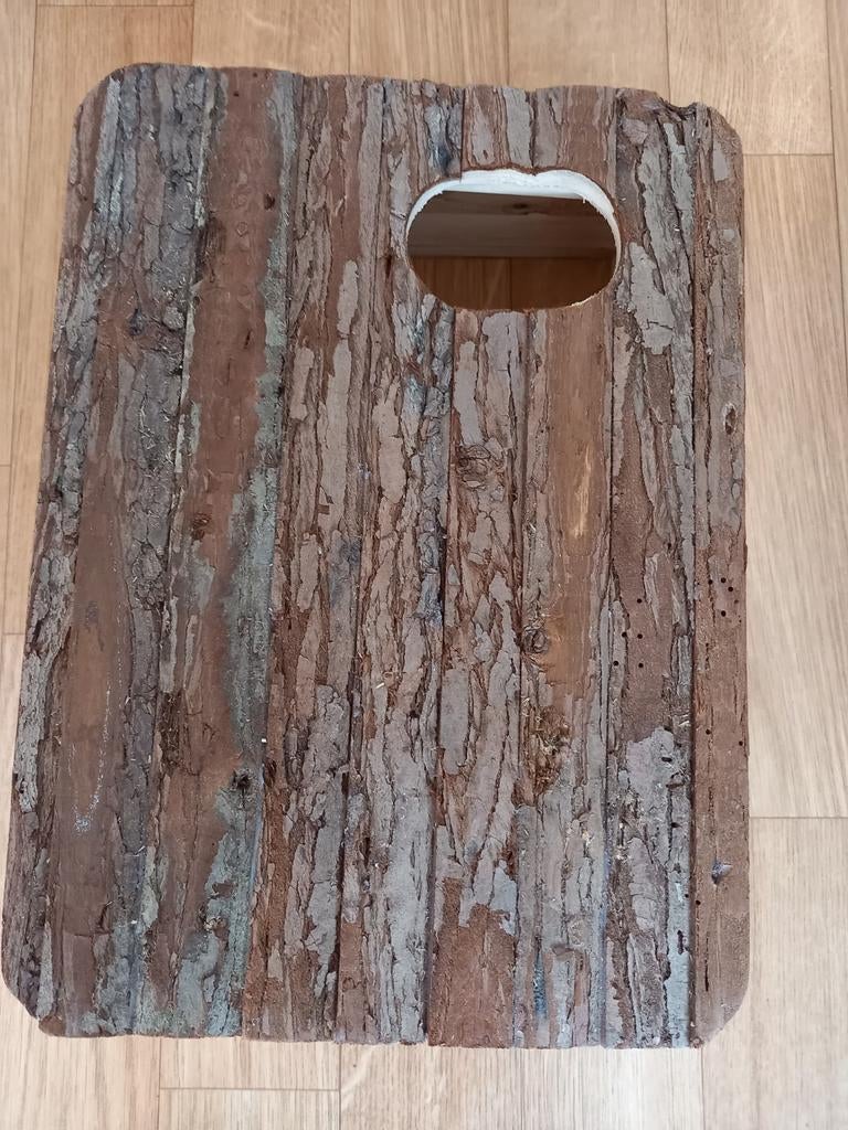 HALLO, IK BEN JE NIEUWE VOGELNESTJE ❤️🧡💛, Ophalen of Verzenden