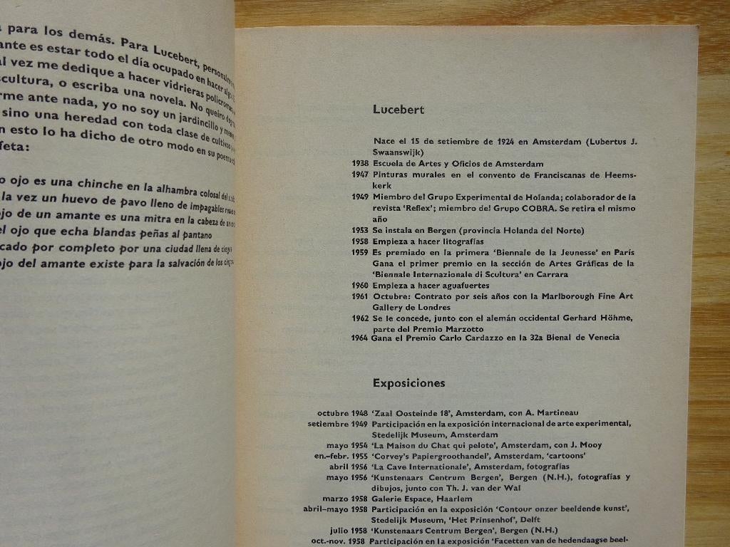 Lucebert, arte plastico en holanda, 1964 Meulenhoff, Ophalen of Verzenden, Gelezen, Schilder- en Tekenkunst