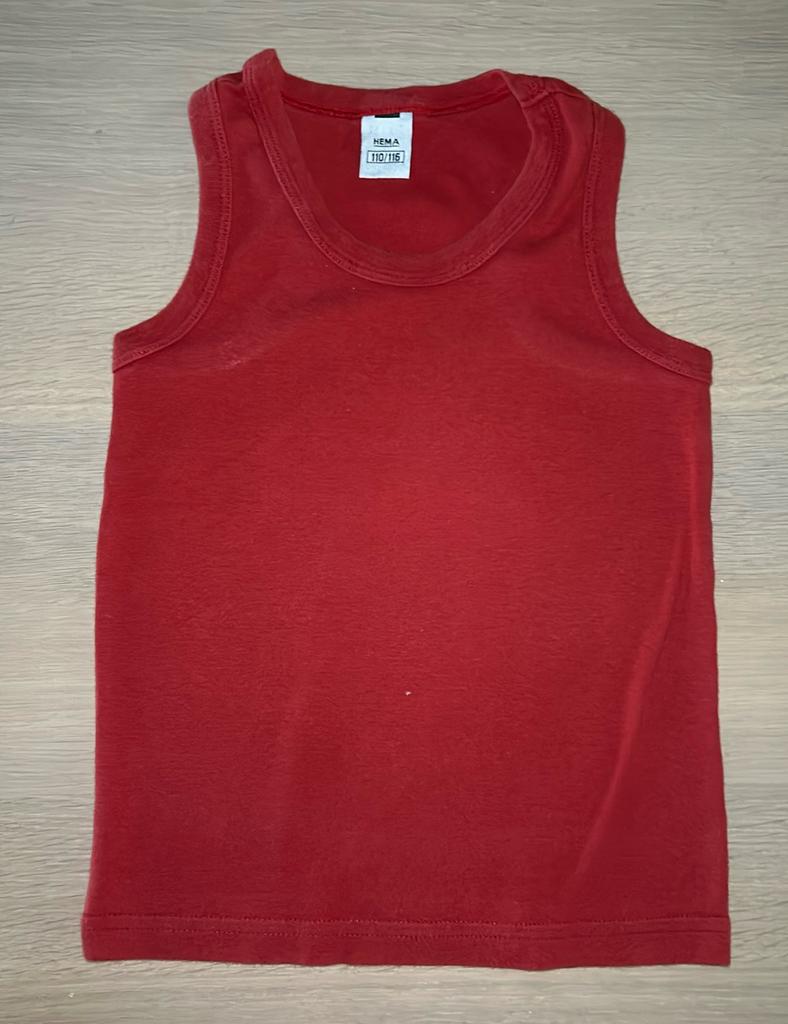 Shirt maat 110, Kinderen en Baby's, Kinderkleding | Maat 110, Ophalen of Verzenden, Zo goed als nieuw, Shirt of Longsleeve, Hema
