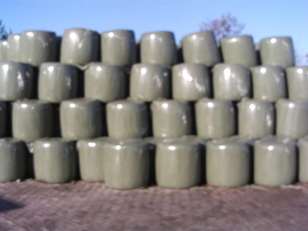 midi maisbalen, Enlèvement, Bétail