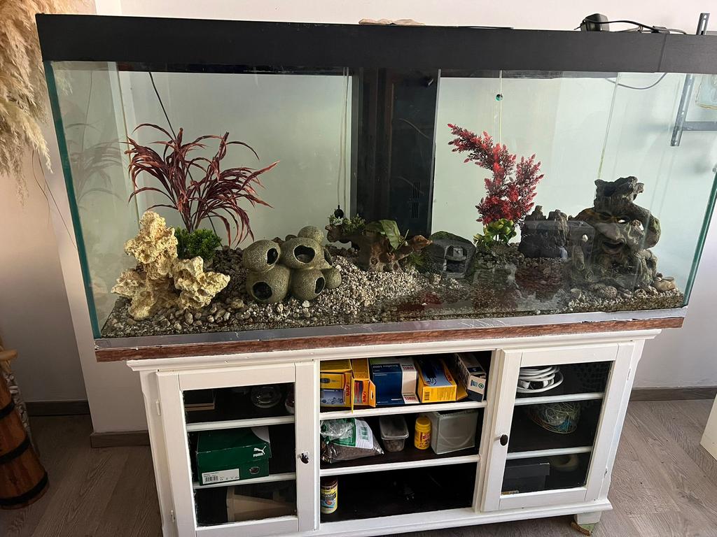 Aquarium, Ophalen, Zo goed als nieuw
