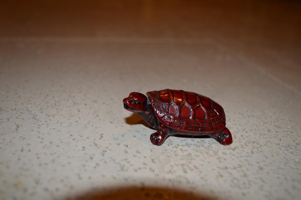 schildpadje, Ophalen of Verzenden, Zo goed als nieuw, Dier
