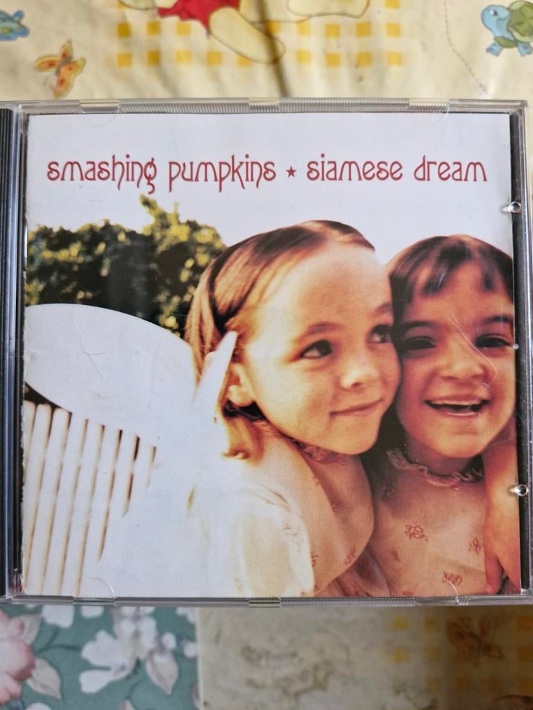 pop cds te koop deel 1266., Enlèvement ou Envoi, Comme neuf