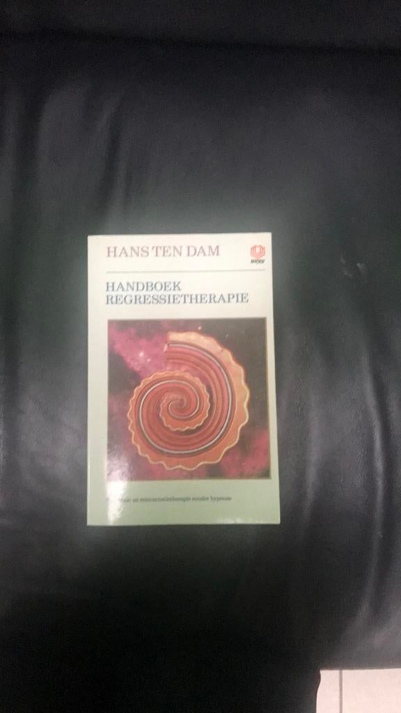 Handboek regressietherapie, Boeken, Hans Ten Dam, Ophalen of Verzenden, Zo goed als nieuw, Praktische filosofie