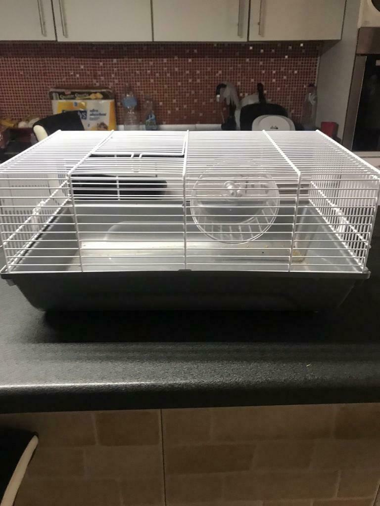 Knaagdierkooi of andere:, Dieren en Toebehoren, Minder dan 60 cm, Kooi, Hamster, Minder dan 75 cm