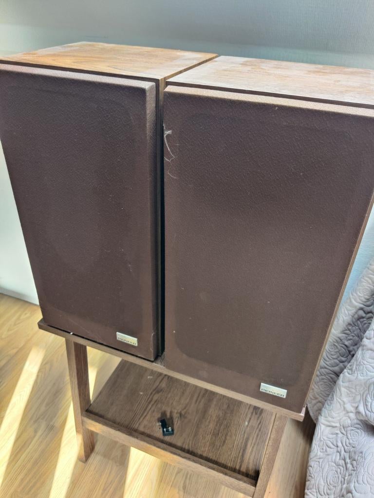 Pioneer CS-E421, Gebruikt, Minder dan 60 watt, Front, Rear of Stereo speakers, Ophalen