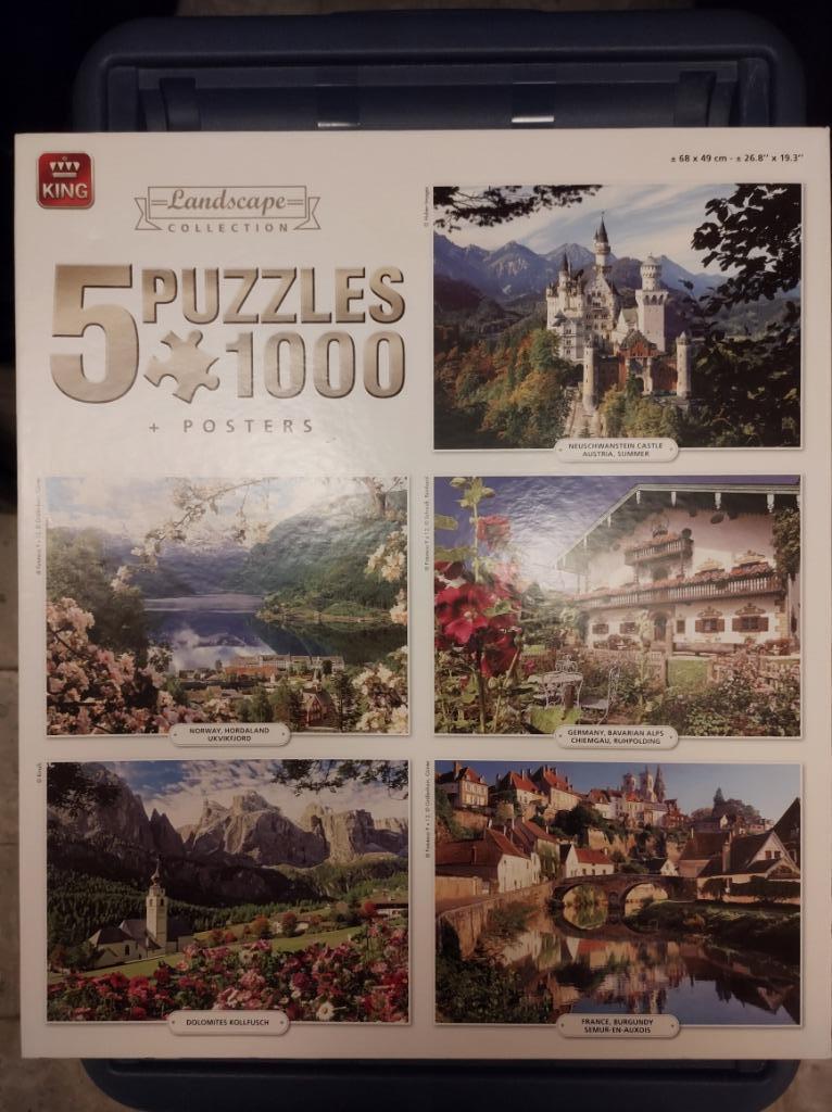 Puzzel 5 in 1 - 1000 stukjes van King, Ophalen, 500 t/m 1500 stukjes, Zo goed als nieuw, Legpuzzel