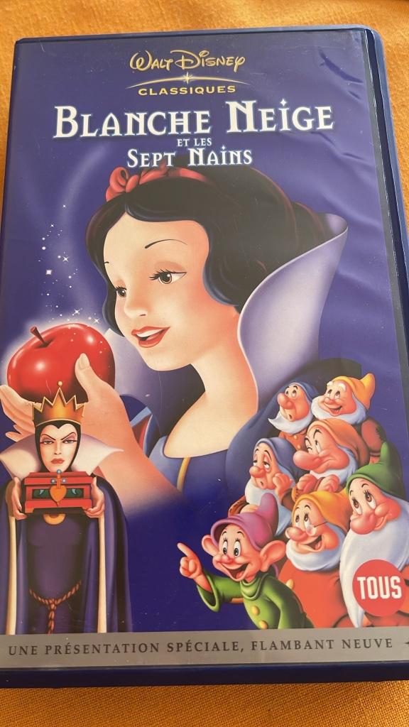 Cassettes vidéo VHS Disney et autres, Tous les âges, Enlèvement, Utilisé
