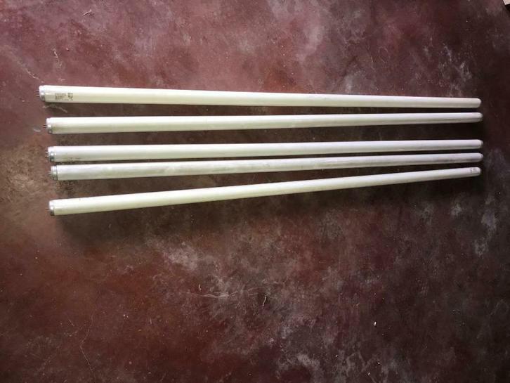 5 tubes néon 65W de 1,50m, Comme neuf