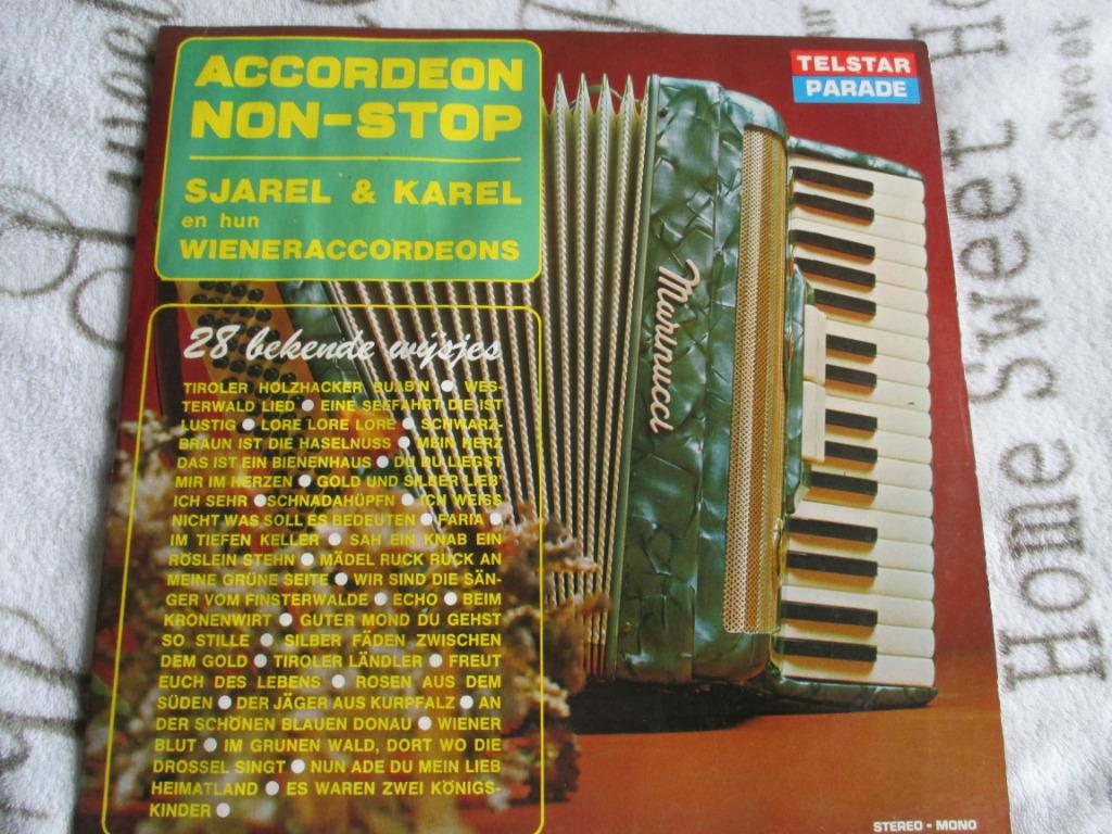 vinyl accordeon, CD & DVD, Vinyles | Autres Vinyles, Enlèvement ou Envoi, Utilisé