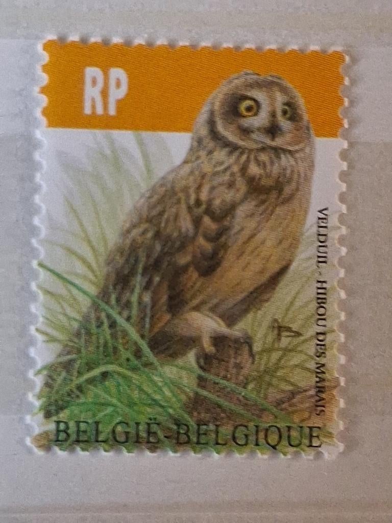 België OBP 4218 postfris jaar 2012, Ophalen of Verzenden, Postfris