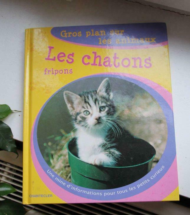 livre sur les chatons fripons de chantecler, Enlèvement ou Envoi, Utilisé, Chats