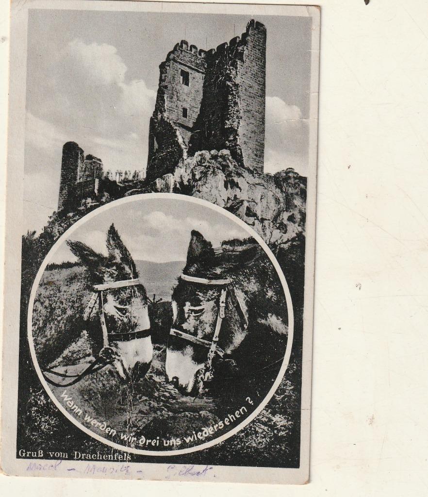 carte postale ancienne de deux ânes (voir photo), emportez-l, Envoi, 1920 à 1940, Affranchie, Autres