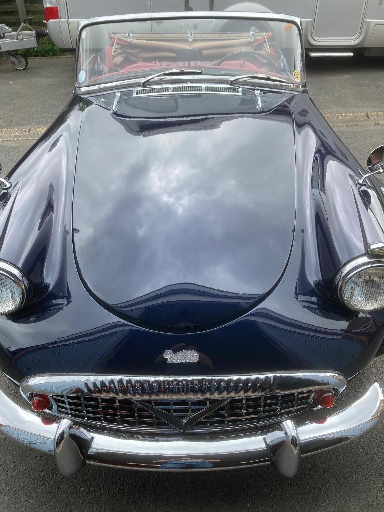 Daimler Dart SP250 1962, foto 10