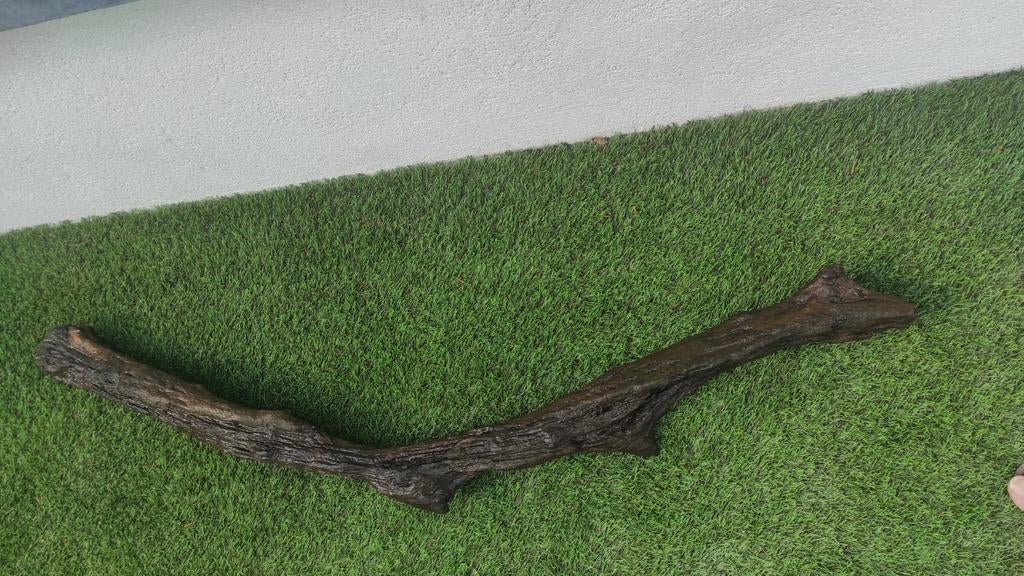Racine pour aquarium 135 cm, Enlèvement, Comme neuf