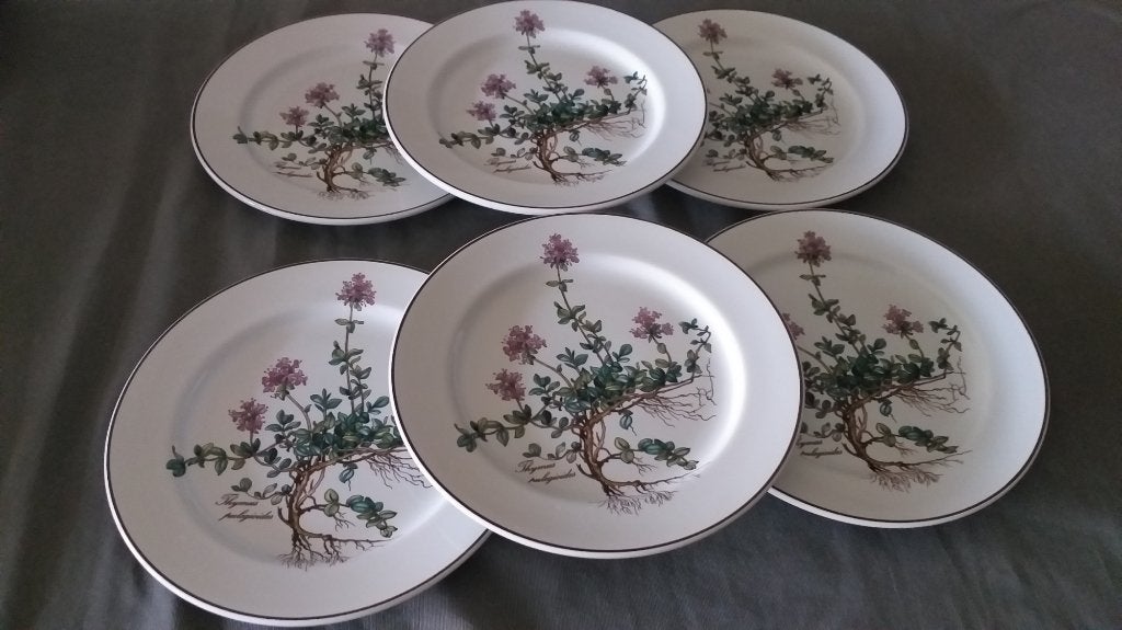6 Ontbijt/dessertborden van Villerloy&Boch Botanica, Huis en Inrichting, Keuken | Servies, Nieuw, Ophalen of Verzenden, Bord(en)