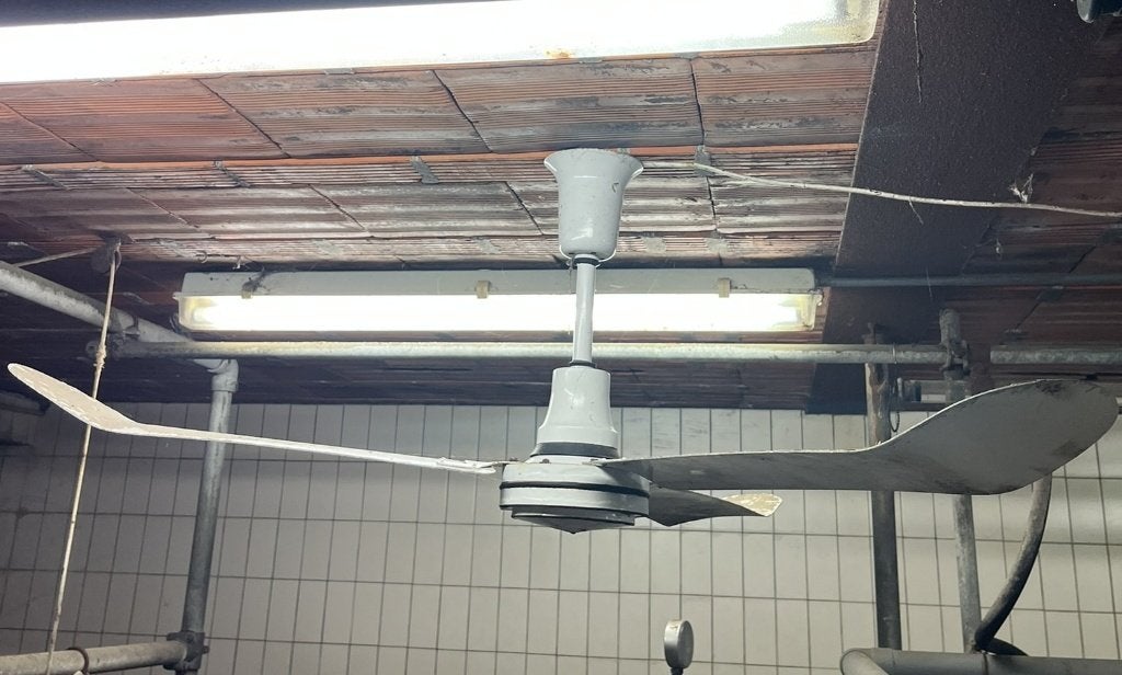 Ventilator DeLaval/Multifan PV600, Enlèvement, Élevage, Équipement de grange