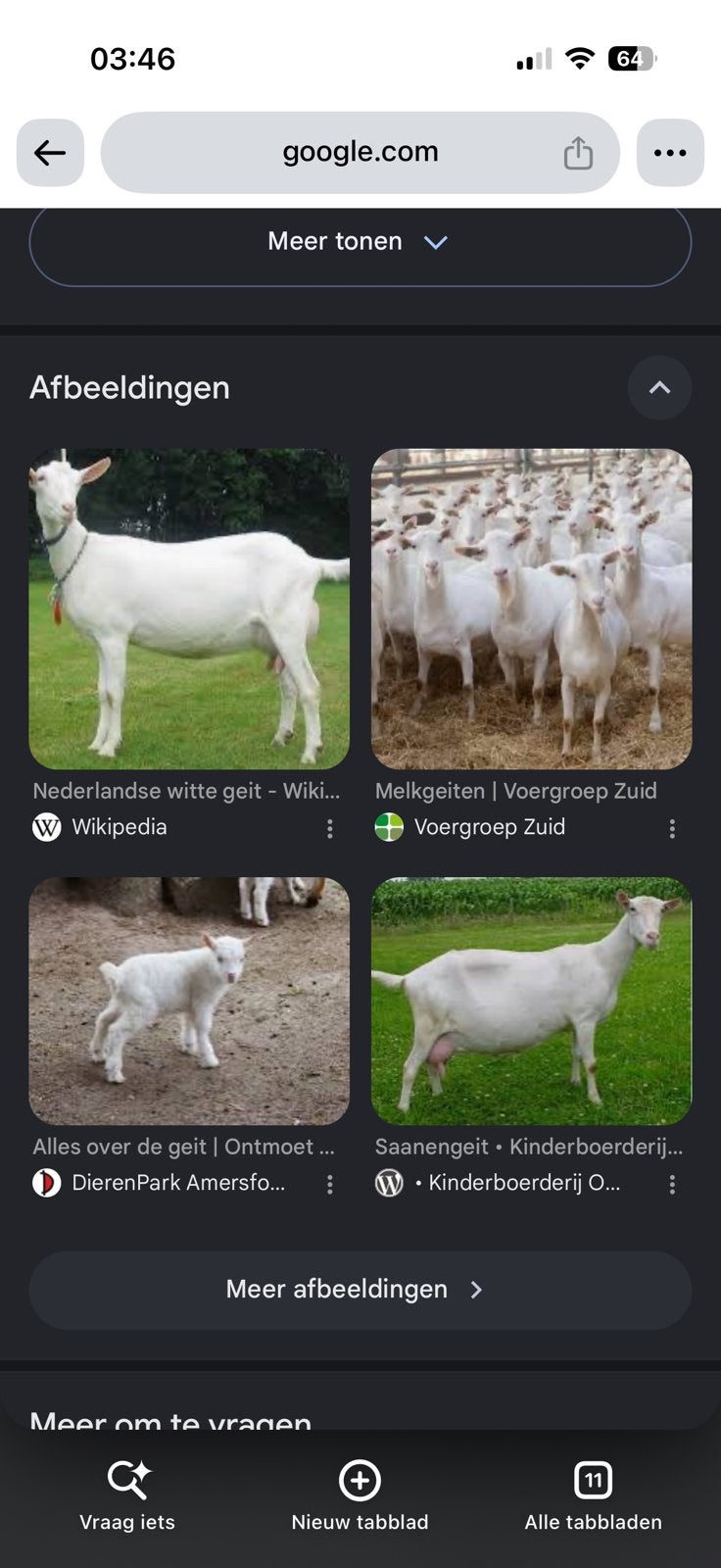 Gezocht melk geiten lammeren, Dieren en Toebehoren, Meerdere dieren, Geit, 0 tot 2 jaar