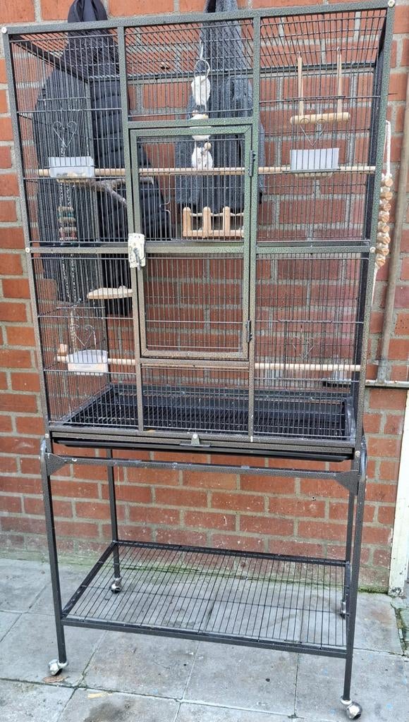 Kooi, Dieren en Toebehoren
