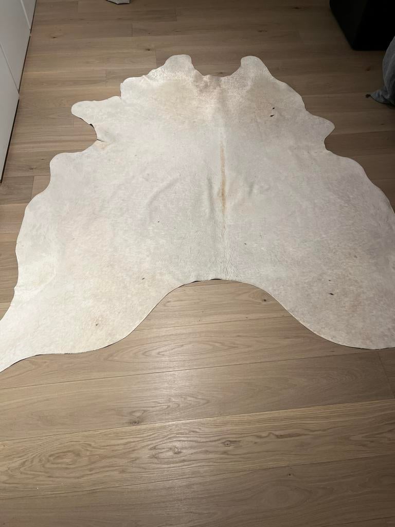 Mooi koeienhuid 2.45meter op z’n breedst, Ophalen, Koehuid, Gebruikt, 200 cm of meer