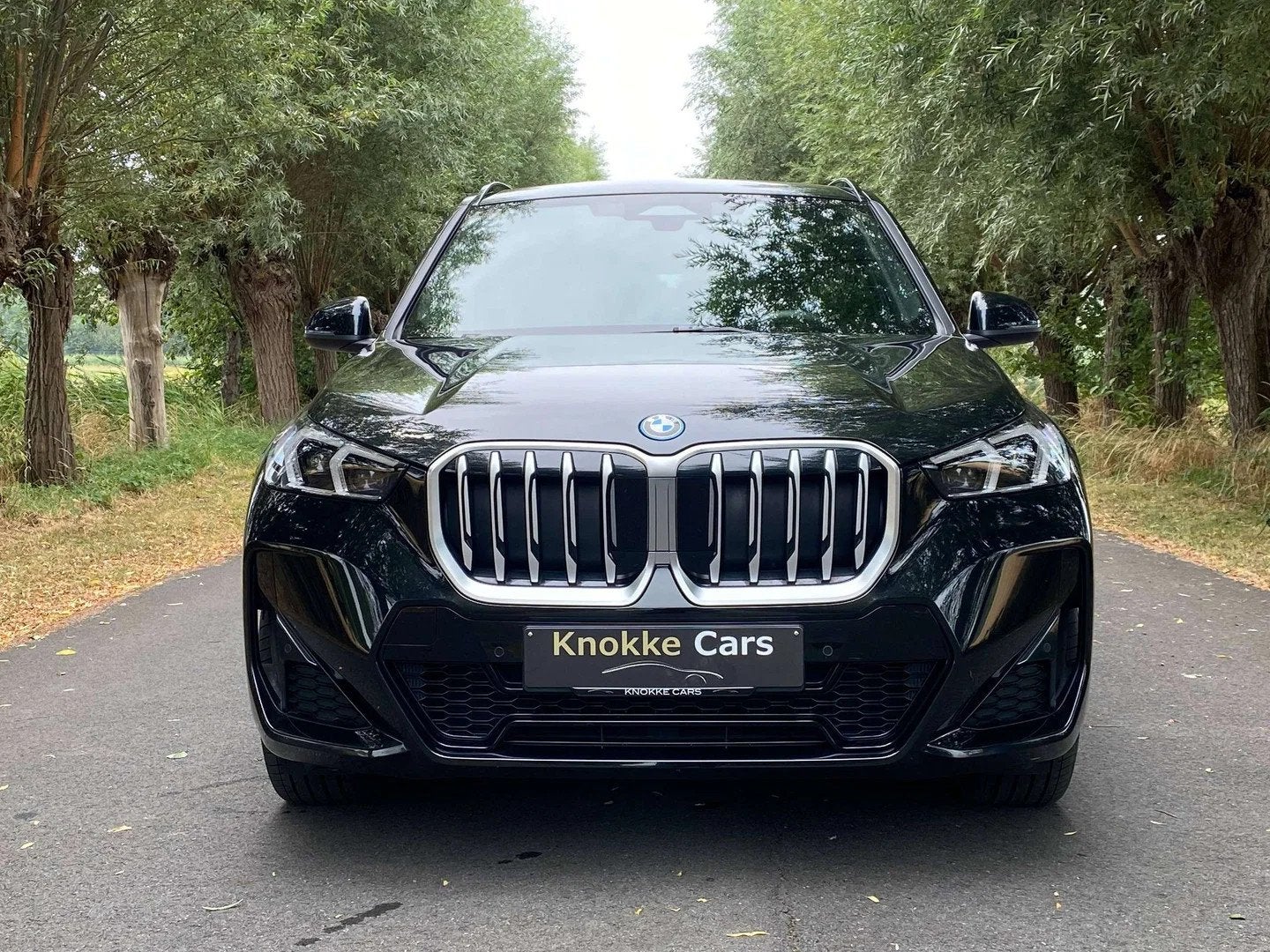 BMW X1 Verkocht,Sold,Vendu (automatique), 2430 kg, Achat, Entreprise, Alcantara