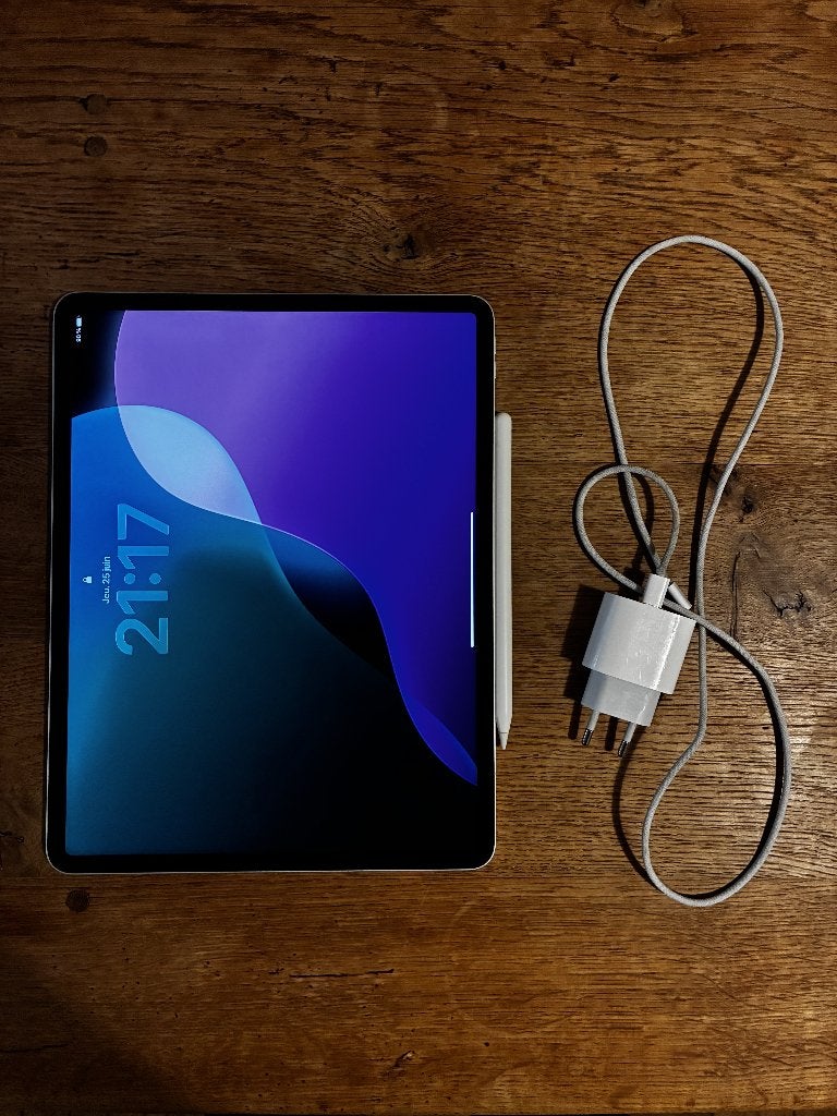 iPad Pro 13" (M4, 5e gén.) 512 Go + Apple Pencil + chargeur, Informatique & Logiciels, Apple iPad Tablettes, Utilisé, Apple iPad Pro