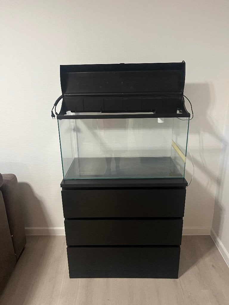 Terarrium, Dieren en Toebehoren, Reptielen en Amfibieën | Toebehoren, Zo goed als nieuw, Terrarium of Paludarium, Ophalen