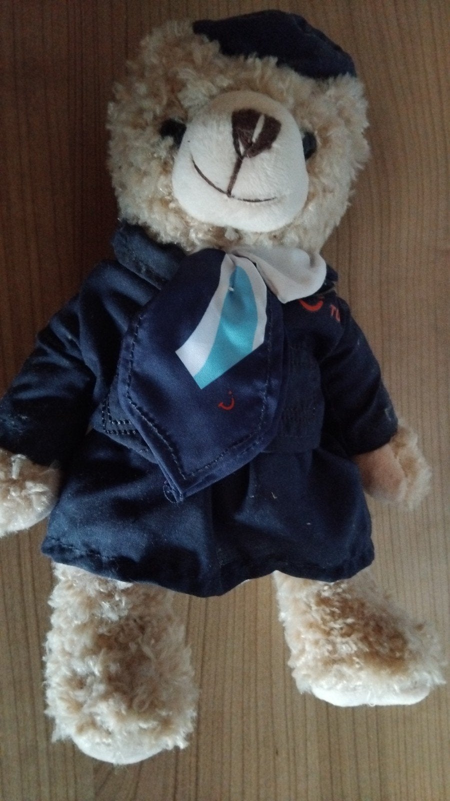 Petit ours avec l’uniforme d’hôtesse de la cie TUI FLY, Enlèvement ou Envoi, Utilisé, Autres types
