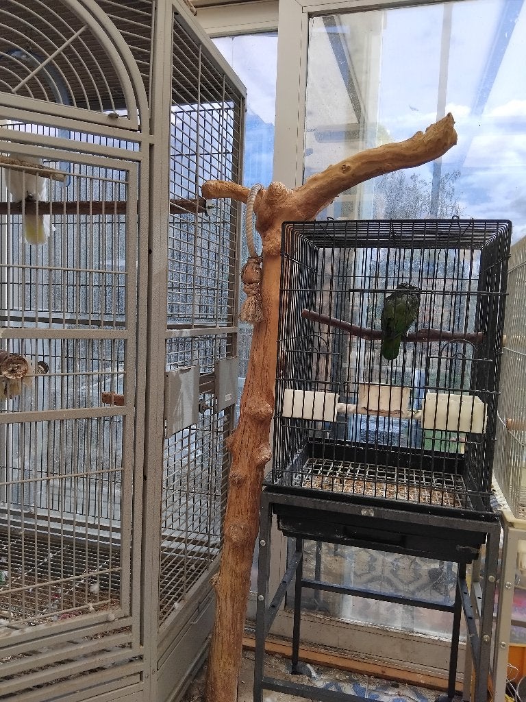 Cage sur pied a roulettes, Animaux & Accessoires, Enlèvement, Utilisé, Métal, Cage à oiseaux