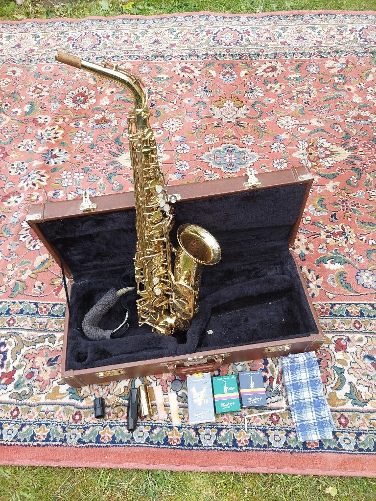 Trevor James “The Horn” Altsaxofoon + Selmer mondstuk + kist, Ophalen, Gebruikt, Alt, Met koffer