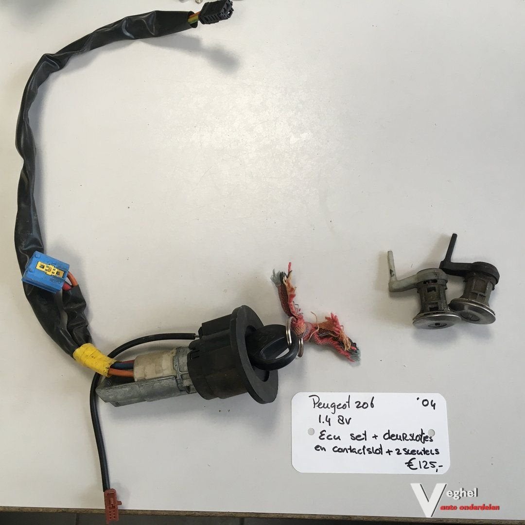 Peugeot 206 1.4 8v 2004   Ecu Set  , ECU , BSI , zekeringkas, Gebruikt, -, -, Ophalen of Verzenden