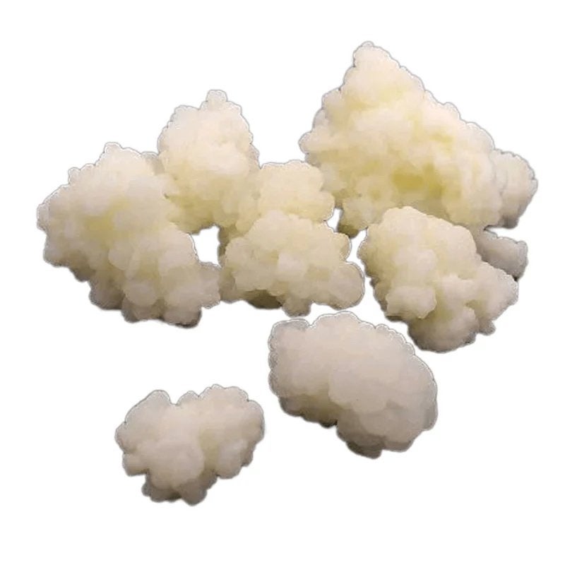 Melkkefir korrels 50g, Divers, Produits alimentaires, Enlèvement