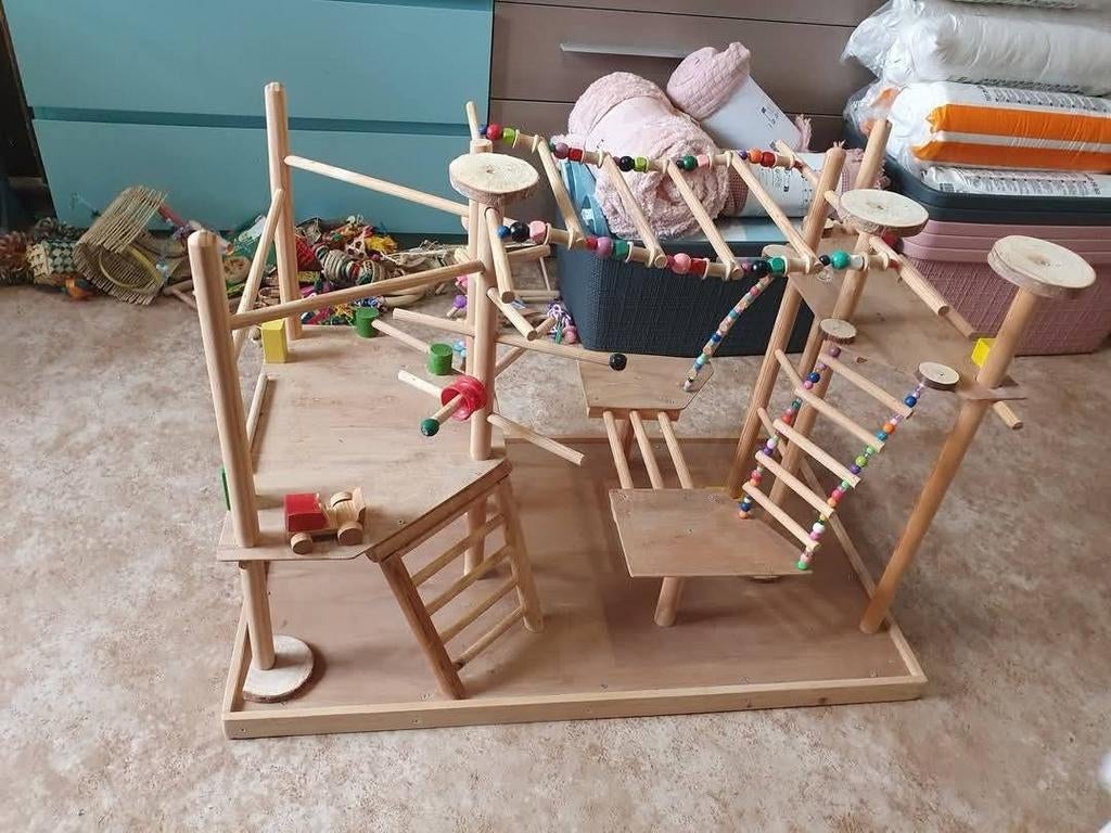 Aire de jeux pour perruches (en herbe), Plusieurs animaux, Perruche