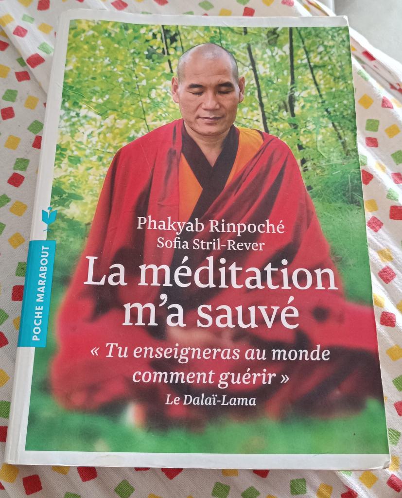 La méditation m'a sauvé : Phakyab Rinpoché : FORMAT POCHE, Livres, Ésotérisme & Spiritualité, Enlèvement ou Envoi, Méditation ou Yoga