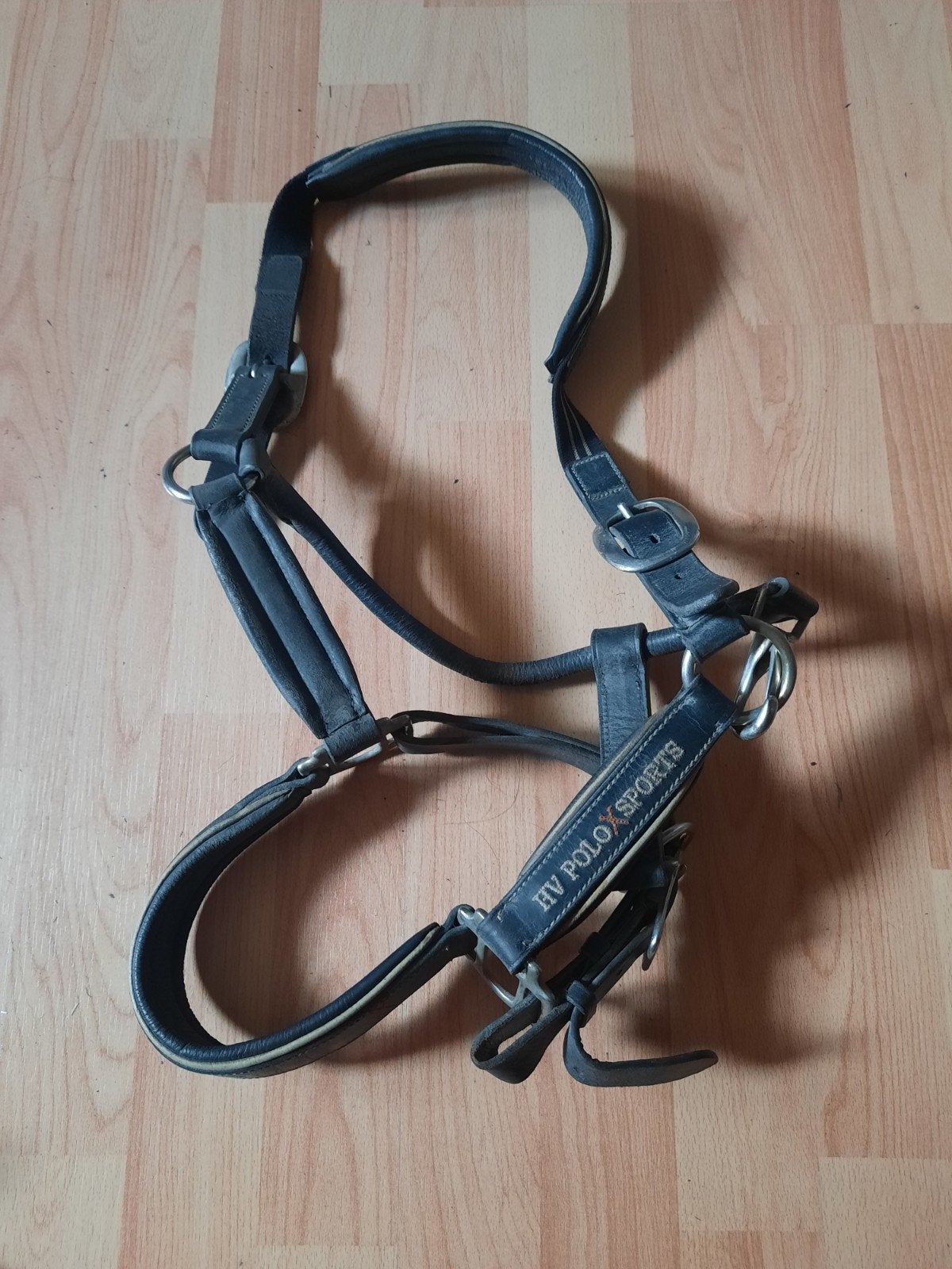 zwart leren halster HV polo sports maat full, Dieren en Toebehoren, Ophalen of Verzenden, Halster, Beige, Verstelbaar