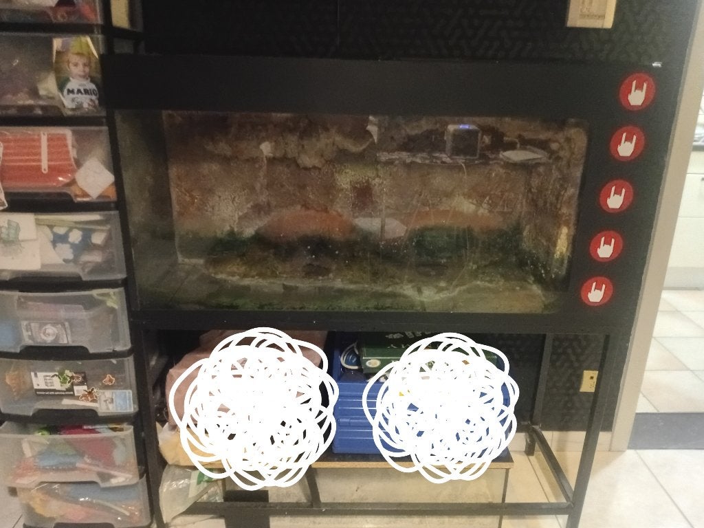 Gratis af te halen: aquarium, Ophalen, Gebruikt, Leeg aquarium