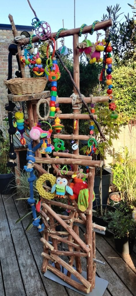 Grote houten speel- en klimstandaard voor  vogels, Ophalen, Gebruikt