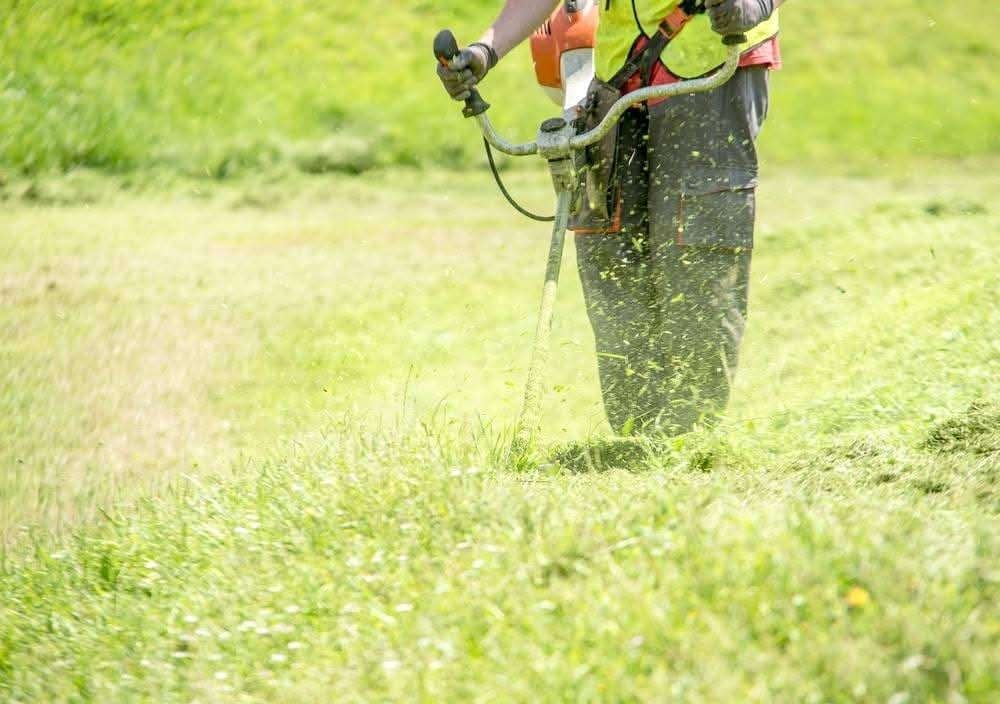 Entretien  et aménagement de jardin, Enlèvement, Utilisé, 20 m² ou plus, Herbe