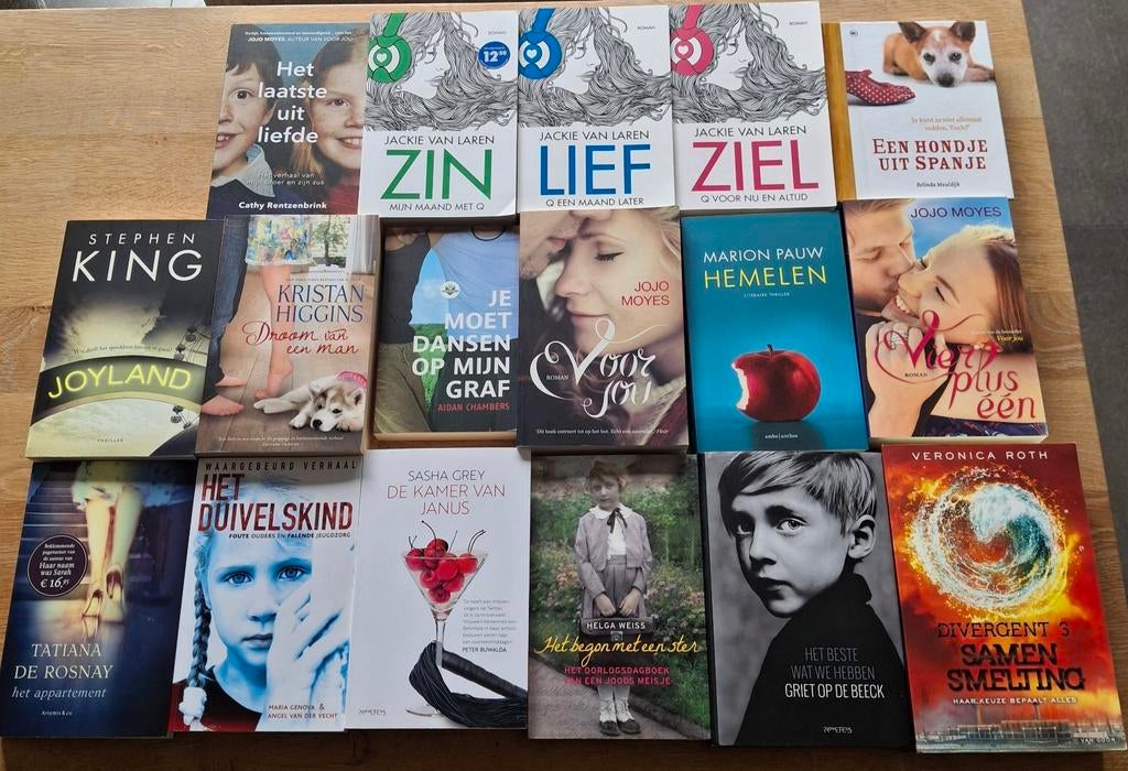 Lot 17 boeken in erg mooie staat perfect voor doorverkoop, Boeken, Ophalen