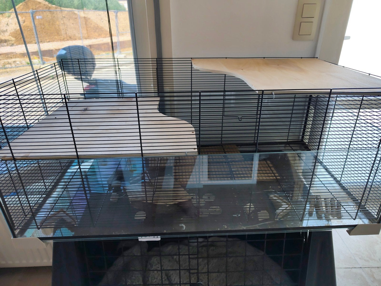 Voor gerbil, hamster  koopje, Dieren en Toebehoren, Ophalen, Hamster