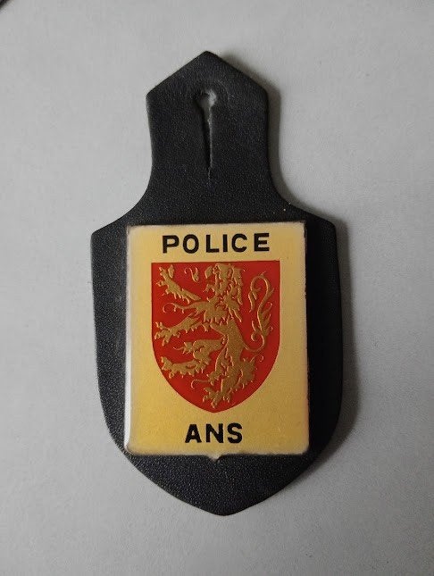 Oude Borstzakhanger van de gemeentelijke politie, Verzamelen, Militaria | Algemeen, Ophalen of Verzenden, Rijkswacht, Embleem of Badge
